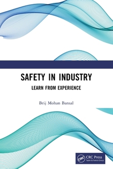 Paperback Safety in Industry: Learn from Experience Book
