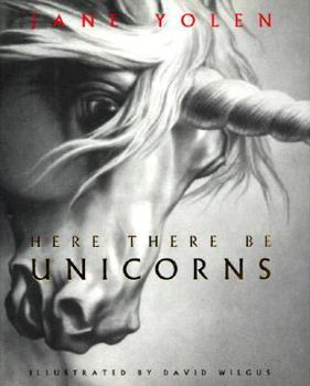 Here There Be Unicorns - Book  of the Here There Be...