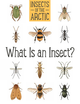 Paperback Insects of the Arctic: What Is an Insect?: English Edition Book