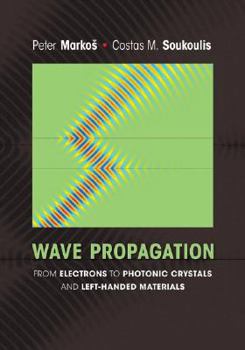 Hardcover Wave Propagation: From Electrons to Photonic Crystals and Left-Handed Materials Book