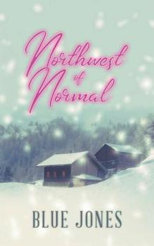 Paperback Northwest of Normal Book