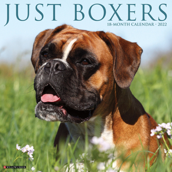 Calendar Just Boxers 2022 Wall Calendar (Dog Breed) Book