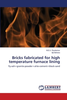 Paperback Bricks fabricated for high temperature furnace lining Book