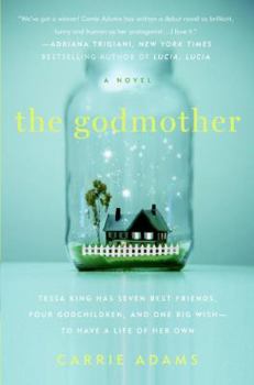 Paperback The Godmother Book