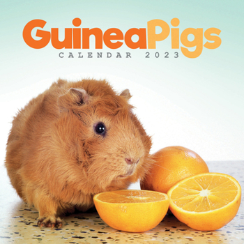Calendar 2023 Guinea Pigs Mini Calendar Book