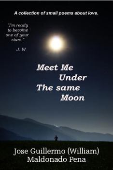 Meet me Under The Same Moon: a collection of small poems and wishes for some type of love