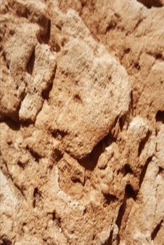 2020 Weekly Planner Journal Natural Earth Design 134 Pages: 2020 Planners Calendars Organizers Datebooks Appointment Books Agendas