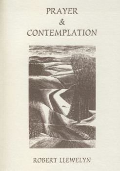 Paperback Prayer and Contemplation and Distractions Are for Healing Book