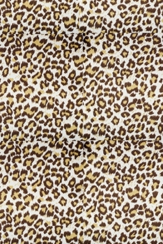 Cheetah Print Theme Primary Composition Draw and Write NoteBook: Dotted Midline and Picture Space | Grades K2 School Exercise Book | Summer Journal For Kids (BIG KINDERGARTEN WORKBOOKS)