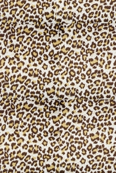 Cheetah Print Theme Primary Composition Draw and Write NoteBook: Dotted Midline and Picture Space | Grades K2 School Exercise Book | Summer Journal For Kids (BIG KINDERGARTEN WORKBOOKS)