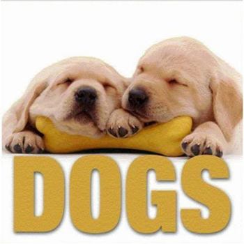 Hardcover Dogs (Minicube) Book