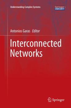 Paperback Interconnected Networks Book