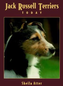 Hardcover Jack Russell Terriers Today Book