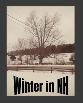 Paperback Winter In New Hampshire Book