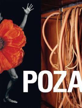 Paperback Poza: On the Polishness of Polish Contemporary Art Book