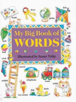 Hardcover My Big Book of Words Book