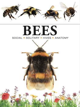 Paperback Bees: Heroes of the Garden Book