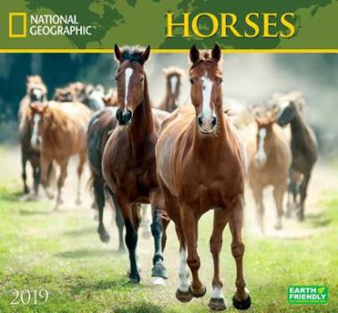 Calendar National Geographic Horses 2019 Calendar Book