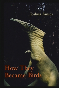 Paperback How They Became Birds Book