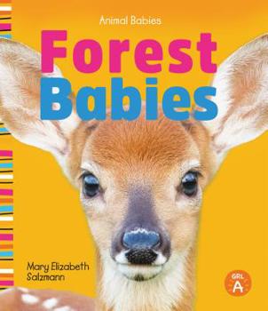 Library Binding Forest Babies Book