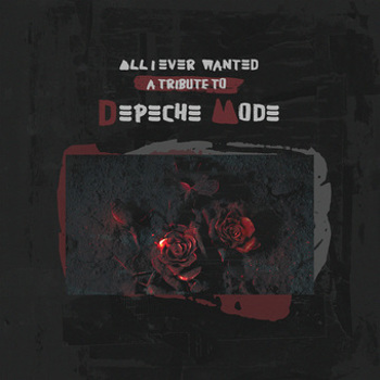 Vinyl All I Ever Wanted   Tribute To Depeche M Book