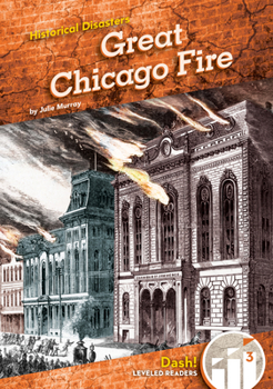 Library Binding Great Chicago Fire Book