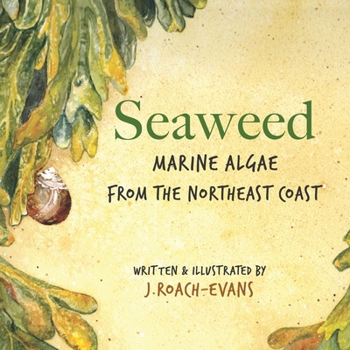 Paperback Seaweed: Marine Algae from the Northeast Coast Book