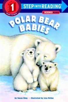 Library Binding Polar Bear Babies Book