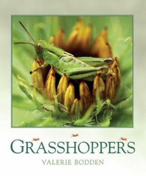 Library Binding Grasshoppers Book