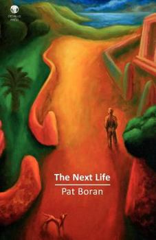 Paperback The Next Life Book