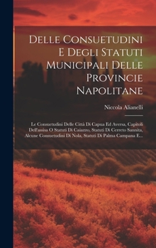 Delle Consuetudini E Degli Statuti Municipali Delle Provincie Napolitane: Le Consuetudini Delle Città Di Capua Ed Aversa, Capitoli Dell'assisa O ... Di Palma Campana E...