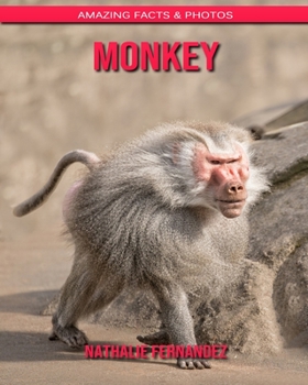 Monkey: Amazing Facts & Photos