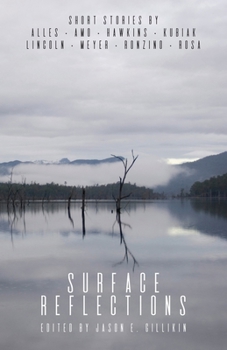 Paperback Surface Reflections Book