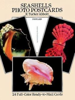Paperback Seashells Photo Postcards: 24 Full-Color Ready-To-Mail Cards Book