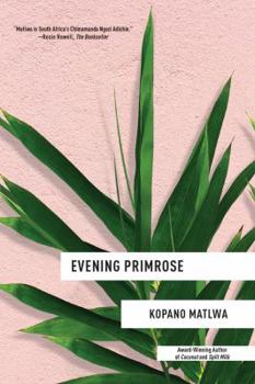 Hardcover Evening Primrose Book