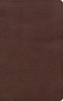 Imitation Leather KJV Single-Column Personal Size Bible, Brown Leathertouch Book