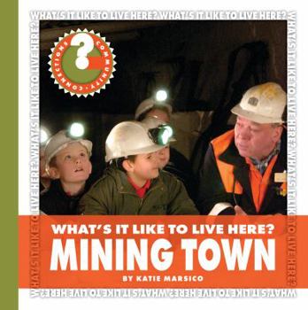 Library Binding What's It Like to Live Here? Mining Town Book