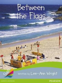 Paperback Between Flags (Sail Silver Bridging Emerald New Zealand) Book