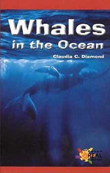 Paperback Whales in the Ocean Book