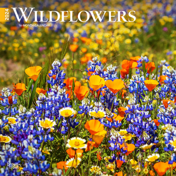 Calendar Wildflowers 2024 Square Book