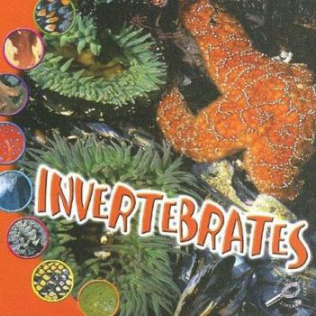 Library Binding Invertebrates Book