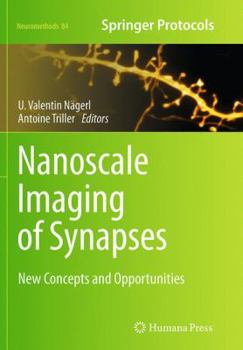 Paperback Nanoscale Imaging of Synapses: New Concepts and Opportunities Book