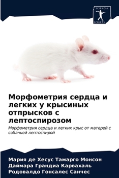 Морфометрия сердца и лег