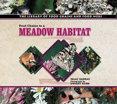 Library Binding Food Chains in a Meadow Habitat Book
