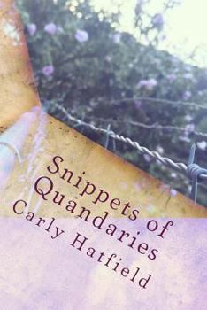 Snippets of Quandaries