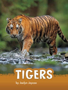 Hardcover Tigers Book