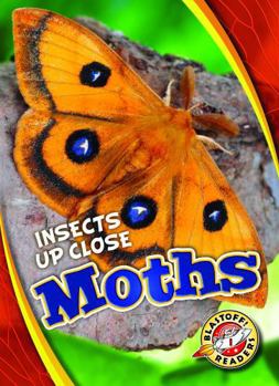 Moths - Book  of the Insects Up Close