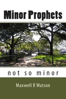 Paperback Minor Prophets: not so minor Book