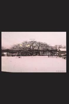 Paperback Graffiti Lilly Book