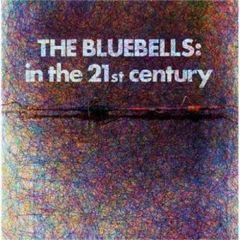 Vinyl In The 21 St Century (Red Vinyl) Book
